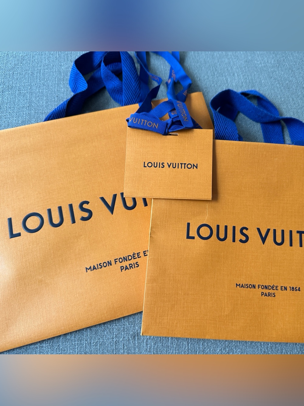 Louis Vuitton Gift Bags and Tag